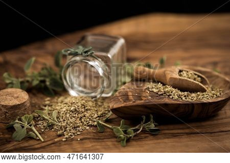 Green Oregano Origanum Vulgar Delicious Kitchen Herbs