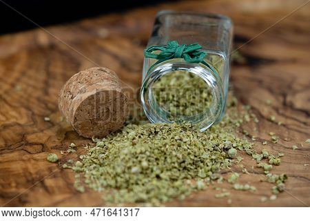 Green Oregano Origanum Vulgar Delicious Kitchen Herbs