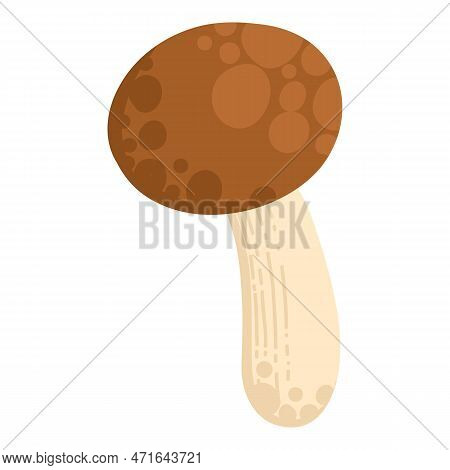 Asian Shiitake Mushroom Or Fungi. Raw Forest Edible Fungus Composition. Natural Organic Vegetarian F