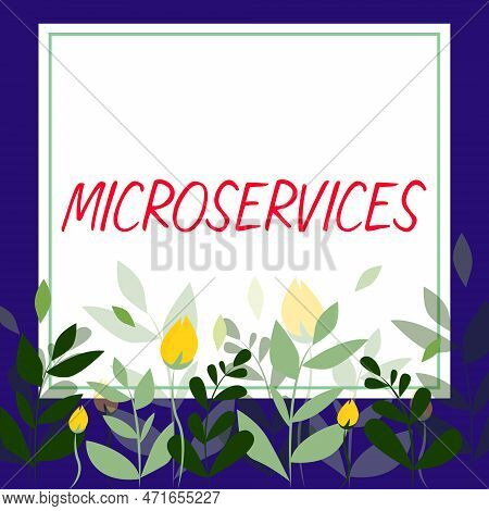 Handwriting Text Microservices. Word Written On Software Development Technique Building Single Funct
