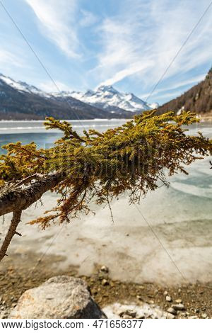 Silvaplana, Switzerland, February 21, 2023 Incredible Winter Panorama With A View Over The Frozen La