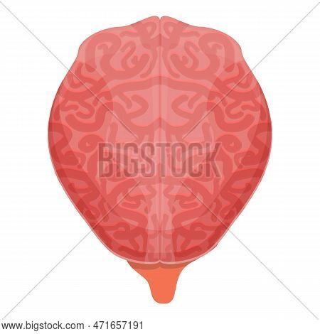 Human Brain Power Icon. Cartoon Of Human Brain Power Icon For Web Design Isolated On White Backgroun