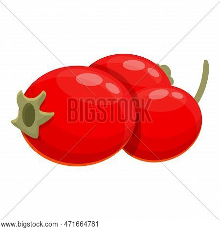 Hawthorn Fruits Icon. Cartoon Of Hawthorn Fruits Icon For Web Design Isolated On White Background