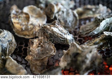 Grilled Fresh Oyster In Taiwan, Famous Street Food.