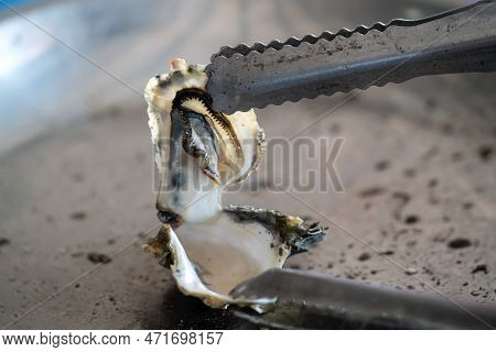 Grilled Fresh Oyster In Taiwan, Famous Street Food.