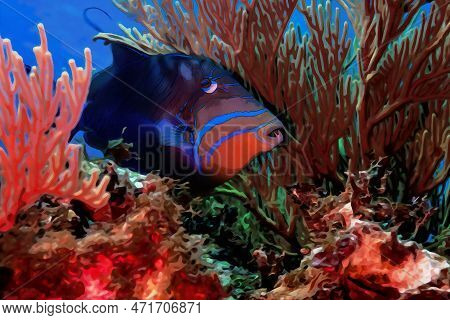 Digitally Created Watercolor Painting Of Balistes Vetula The Queen Triggerfish Or Old Wife A Reef Dw