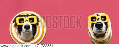Banner Funny Dog Summer Inside Of A Yellow Infltable Ring An Wrapped With A Towel. Isolated On Pink 