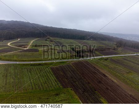Winter Cloudy View Near Moulin De Verzenay And Gran Cru Vineyards Of Famous Champagne Houses In Mont
