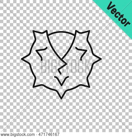 Black Line Chestnut Icon Isolated On Transparent Background. Barbed And Strong Chestnut. Vector