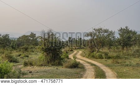 A Narrow Dirt Safari Road Winds Through The Jungle. Grass And Trees Grow On The Roadsides. In The Di