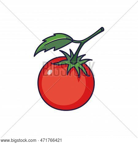 Cute Tomato Cartoon Icon Illustration. Food Vegetable Flat Icon Concept Isolated On White Background