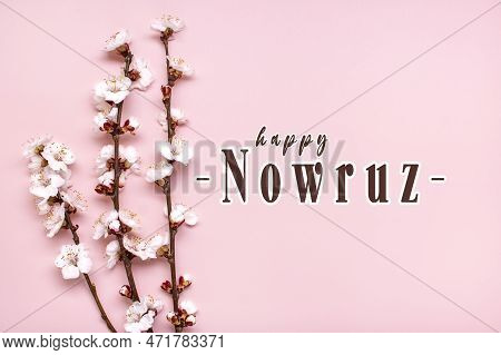 Sprigs Of The Apricot Tree With Flowers On Pink Background Text Happy Nowruz Holiday Concept Of Spri
