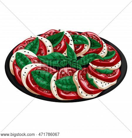 Caprese Salad. Vector Isolated Illustration Of Caprese.