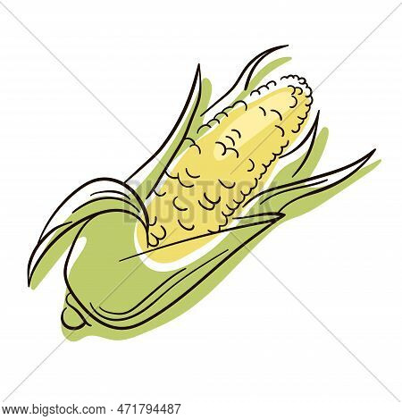 Corn Line Drawing. Flat Illustration Of Corn Vector Isolated On White Background.