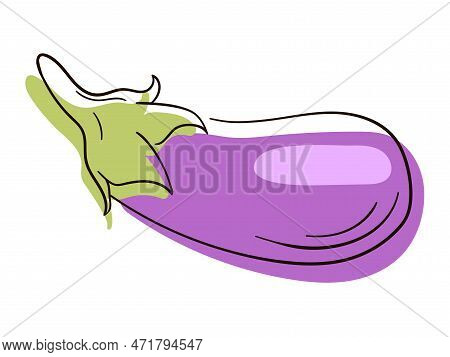 Eggplant Line Drawing. Flat Illustration Of Corn Vector Isolated On White Background.