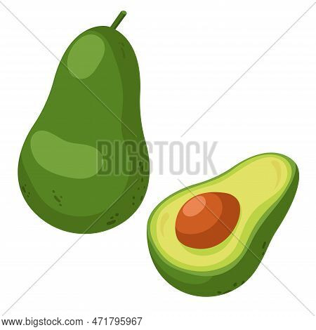 Avocado Fruit Whole And Half. Vector Avocado. Avocado Isolated On A White Background.