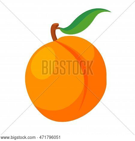 Peach Isolated Vector Icon. Fruit Icon Isolated.