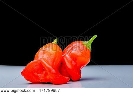 The Bishop's Crown, Christmas Bell, Or Joker's Hat, Is A Pepper, A Cultivar Of The Species Capsicum 