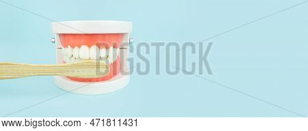Dentistry Conceptual Photo. Prosthetic Dentistry And Wooden Toothbrush. False Teeth. Mock Tooth Or T