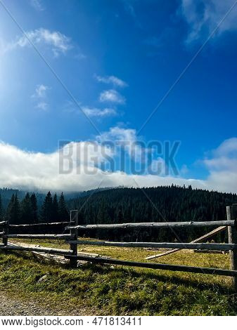 Beautiful View Of The Forest Through The Wooden Fence