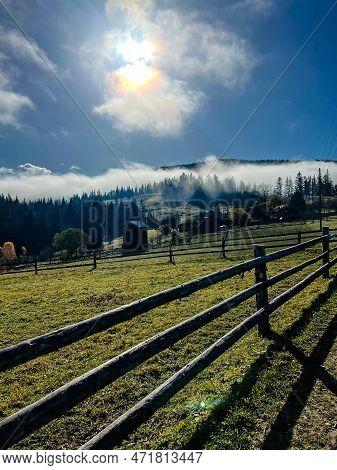 Beautiful View Of The Forest Through The Wooden Fence