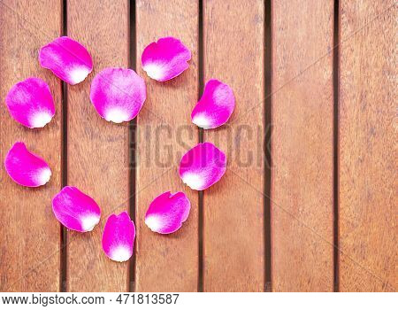 Background Of Heart From Fresh Rose Petals. Creative Layout With Beautiful Pink Flower Leafts.