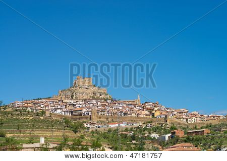 Morella