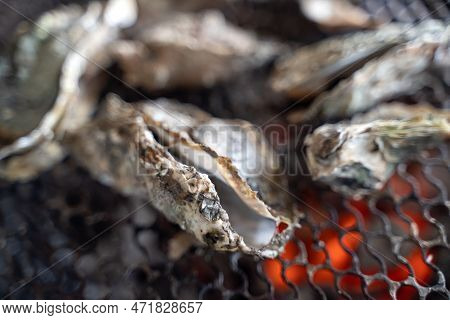 Grilled Fresh Oyster In Taiwan, Famous Street Food.
