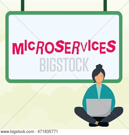 Writing Displaying Text Microservices. Business Overview Software Development Technique Building Sin