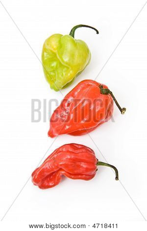 Scotch Bonnet (Habanero) chili paprika.