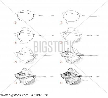 Page Shows How To Learn To Draw Sketch Of Crampfish. Pencil Drawing Lessons Educational Page For Art