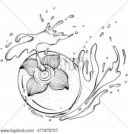 Whole Persimmon With Juice Or Water Splash. Liquid Drops. Vector Illustration In Hand Drawn Sketch D