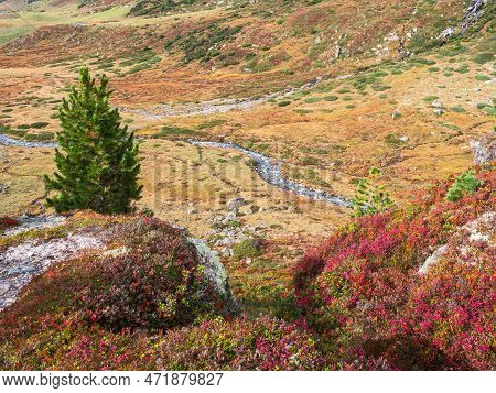 Beautiful Colorful Autumn Mountain Landscape In Fluelapass In Graubunden, Switzerland