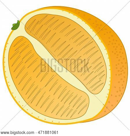 Symbolic Representation Of Half An Orange With Peel
