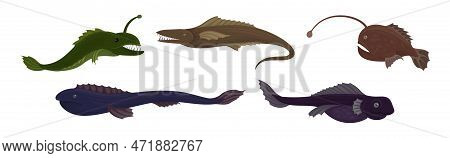 Fish Of The Deep Blue Sea With Toothy Lanternfish Vector Set