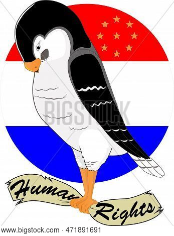 Nature And Wildlife, Birdwatching And Ornithology Design. Vector Illustration.