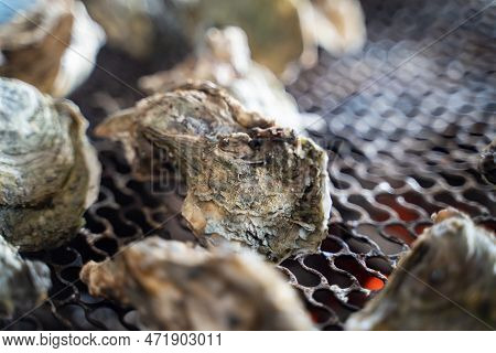 Grilled Fresh Oyster In Taiwan, Famous Street Food.