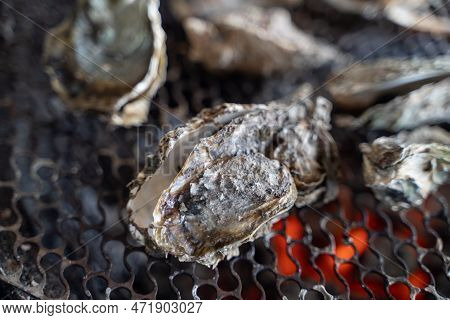 Grilled Fresh Oyster In Taiwan, Famous Street Food.