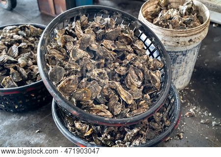 Grilled Fresh Oyster In Taiwan, Famous Street Food.