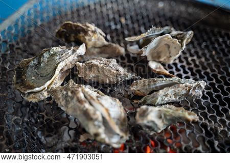 Grilled Fresh Oyster In Taiwan, Famous Street Food.