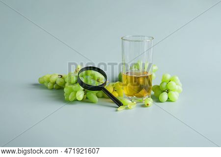 Grapes, Magnifier And Glass Of Grape Juice On Green Pastel Background. Checking Quality Of Grapes An
