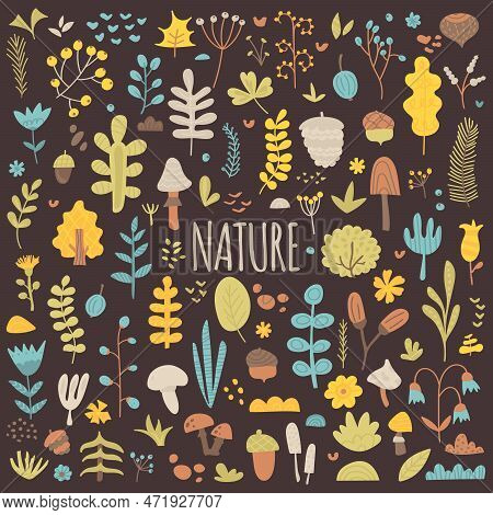 Nature, Seasons, Spring, Summer. Big Collection Of Natural Botanical Elements. Set Of Leaves, Flower