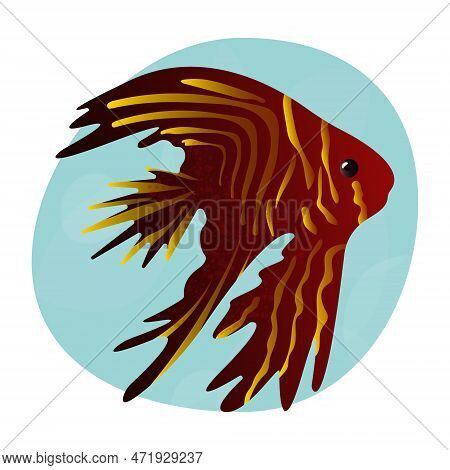 Beautiful Realistic Tropical Betta Fish. Sea Fish With A Long And Lush Tail Fin. Cool Print For Clot
