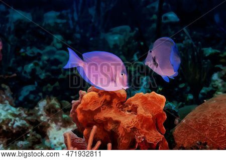 Digitally Created Watercolor Painting Of A Pair Of Blue Tang Surgeonfish Acanthurus Coeruleus Swimmi
