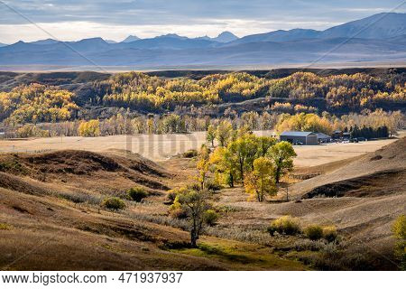 Autumn Colours In A River Valley Overlooking The East Slopes Of The Canadian Rocky Mountains And A W