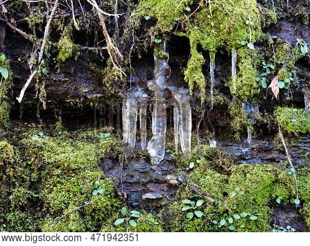 Icicles In A Park In Knoxville, Tennessee