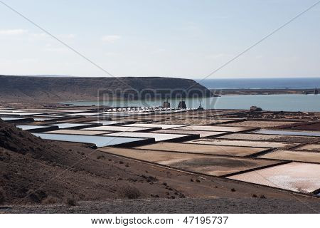 Salinas de janubio