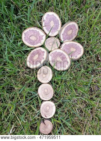 Dekorativnij Cvetok, Iz Derevannih Spilov! Art From A Wooden Wheel, Flower From A Wooden Wheel