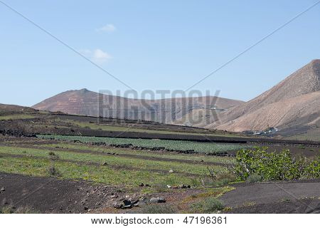 Qualche posto In Lanzarote