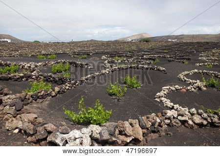 Qualche posto In Lanzarote